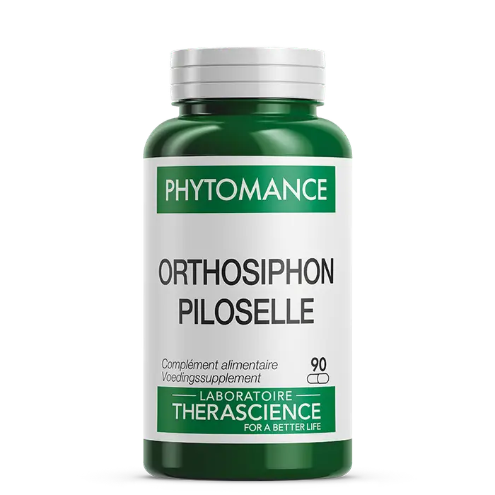 Orthosiphon Piloselle (90 gélules)