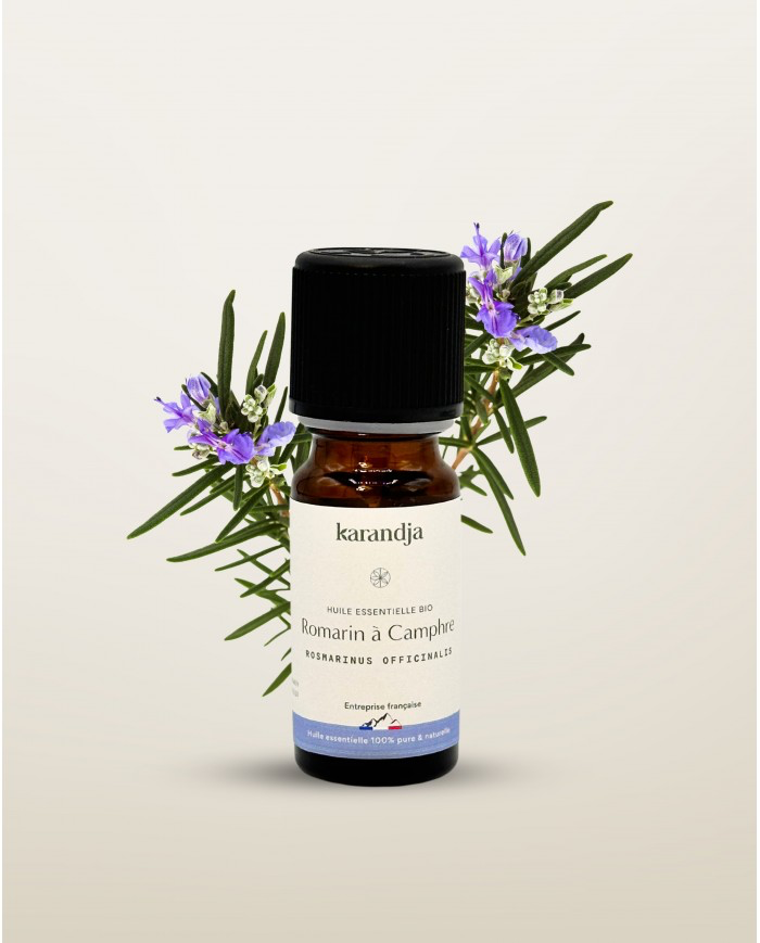 HE Romarin à camphre Bio (10ml)