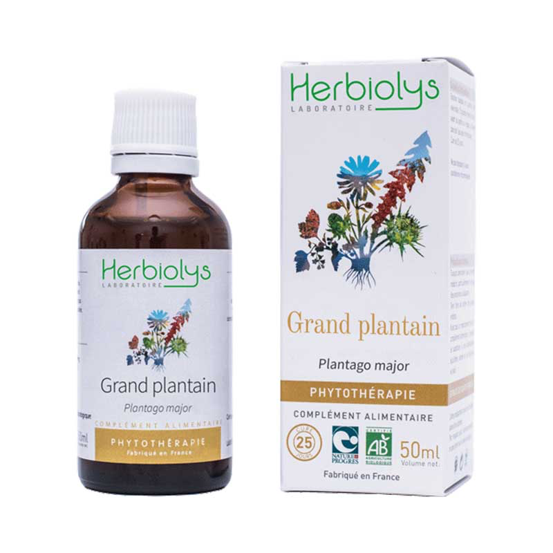Grand plantain - Extrait de Plante fraîche Bio (50mL)