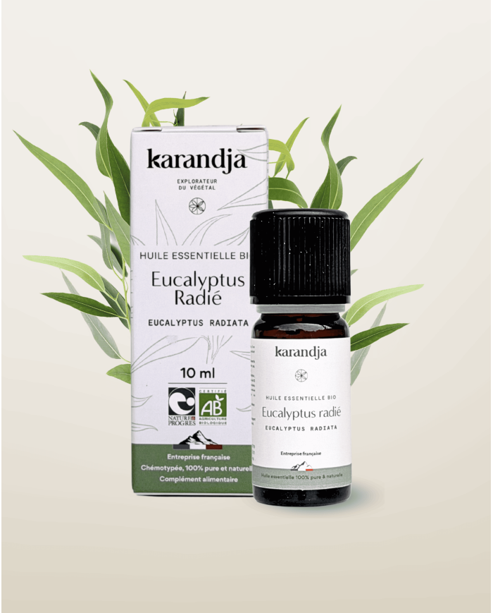 [Karandja] HE Eucalyptus radié Bio (10ml)