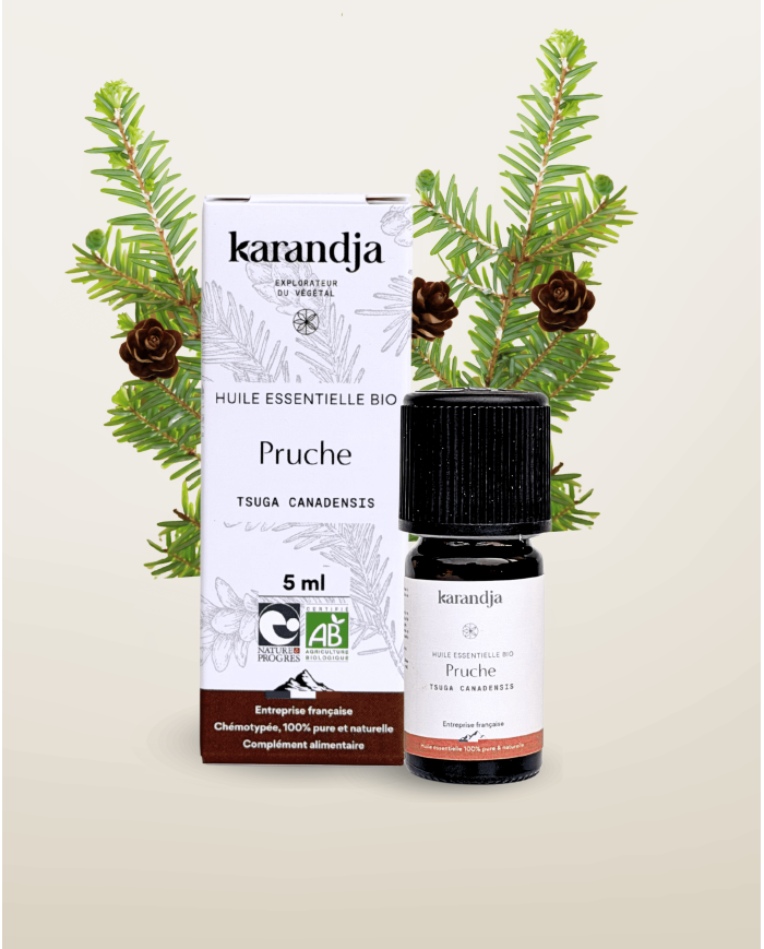 [Karandja] HE Pruche Bio (5ml)