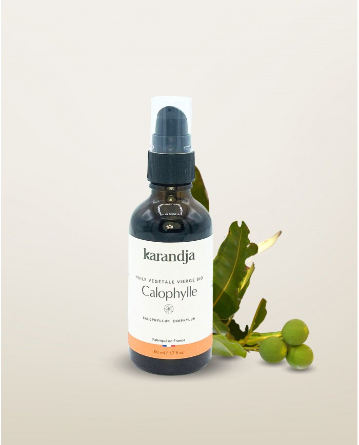 Huile végétale Calophylle inophyle Bio (50ml)