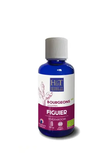 [H&T] Bourgeon Figuier Bio
