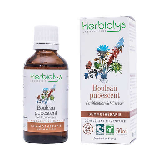 [Herbiolys] Bouleau pubescent Bio - gemmothérapie - (50mL)